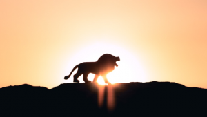 Be the Lion, Not the Antelope: Beat your Fear of Speaking